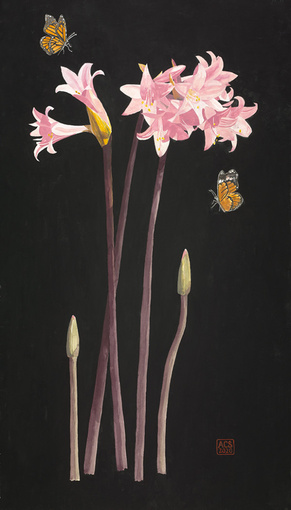 Belladonna Lily and Monarch Butterflies