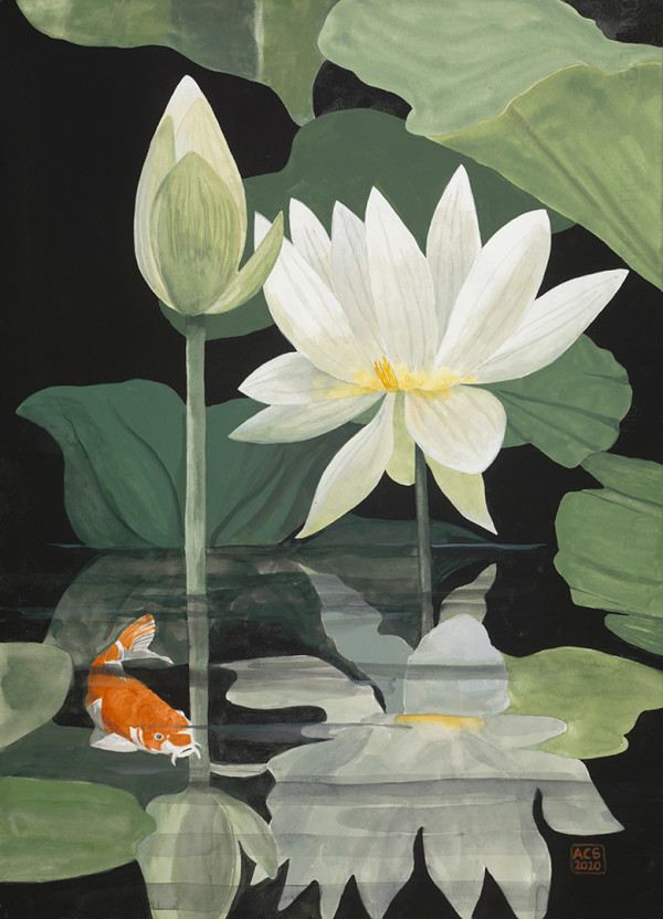 White Lotus and Koi