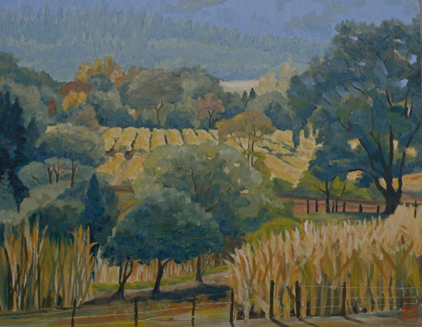 Vineyard and Corn Patch