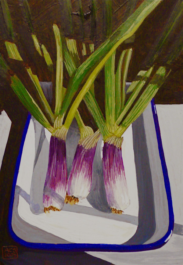 Spring Onions in Enamel Tray