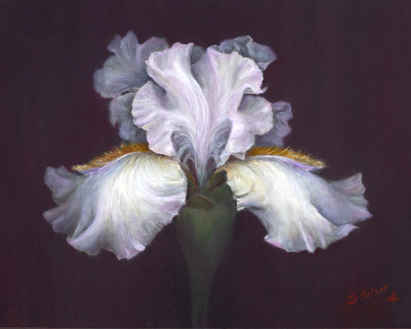 The Iris by Deborah Setser