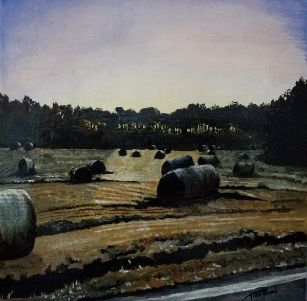 January Morning:  Frost on Hay Bales by Tracey Penrod