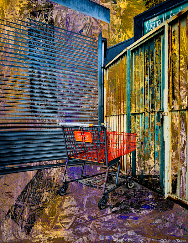 Shopping Cart by Saban/Cannon