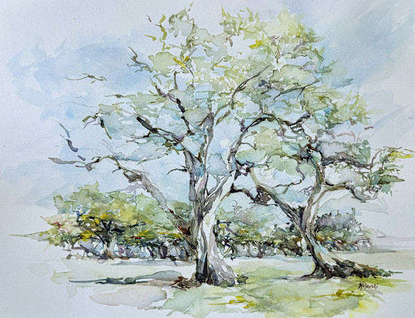Kapiolani Park by Carolyn Majewski, Image 1.