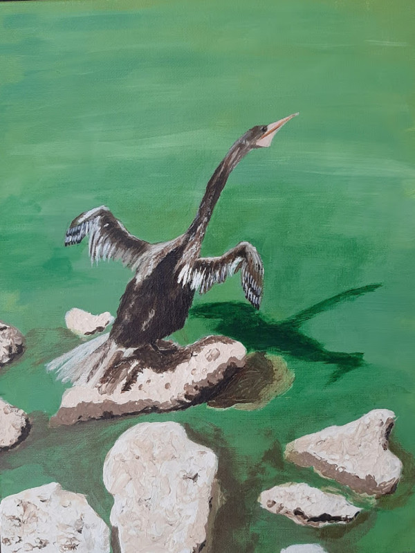 Majestic Cormorant