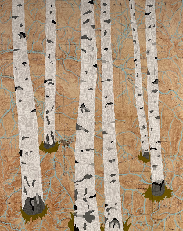 Aspen Aspens by Meredith Nemirov