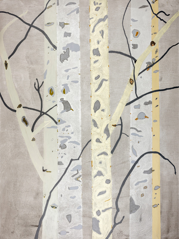 Aspens in Winter
