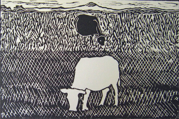 White Cow/Black Cow by Meredith Nemirov