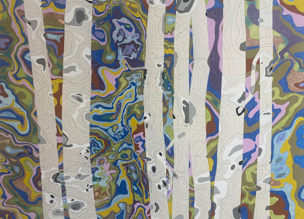 Gravity Map by Meredith Nemirov