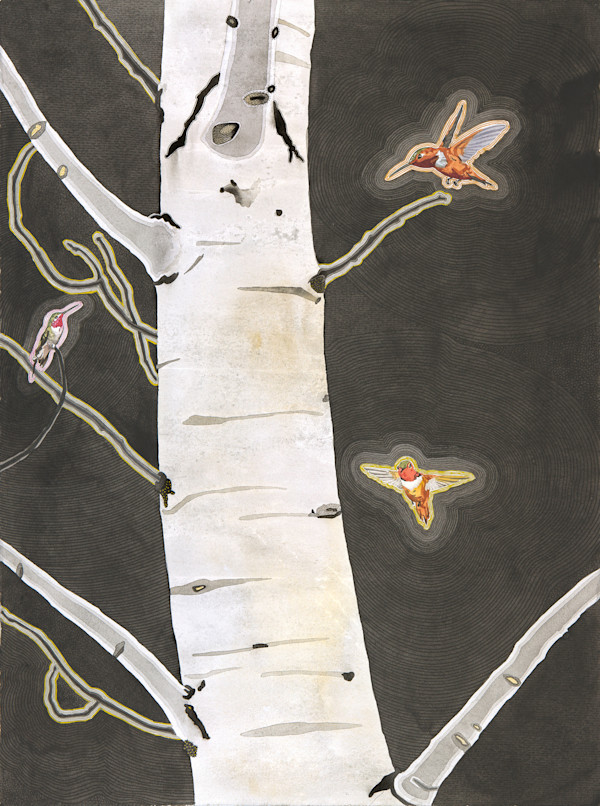 Hummingingbird Tree
