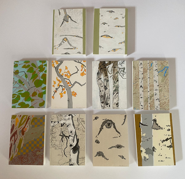 Glimpses of the Aspen Tree by Meredith Nemirov