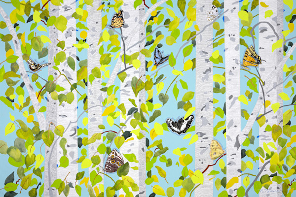 The Summer of Butterflies
