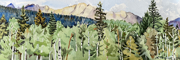 Pines Along the Ridge by Meredith Nemirov