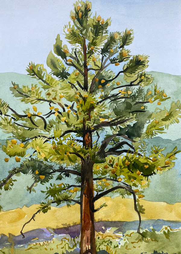 Ponderosa Two by Meredith Nemirov