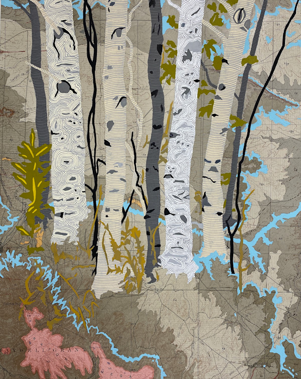 RIVERS FEED THE TREES #459