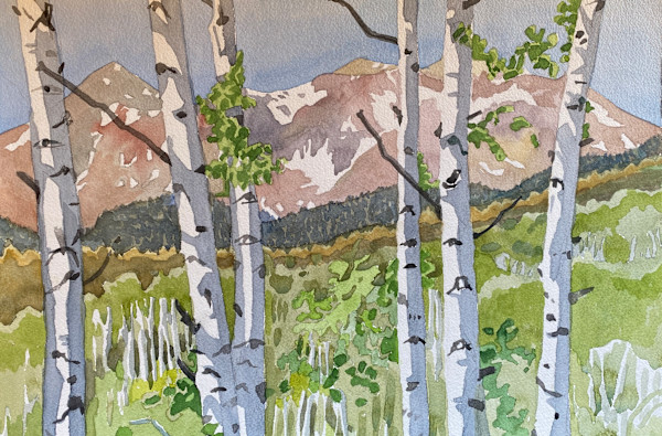 Through The Aspens by Meredith Nemirov