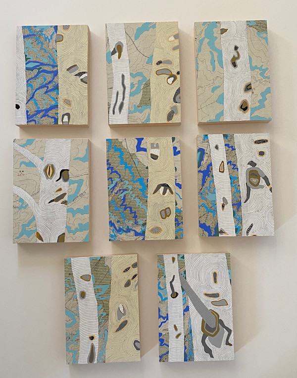 Topo Aspens by Meredith Nemirov