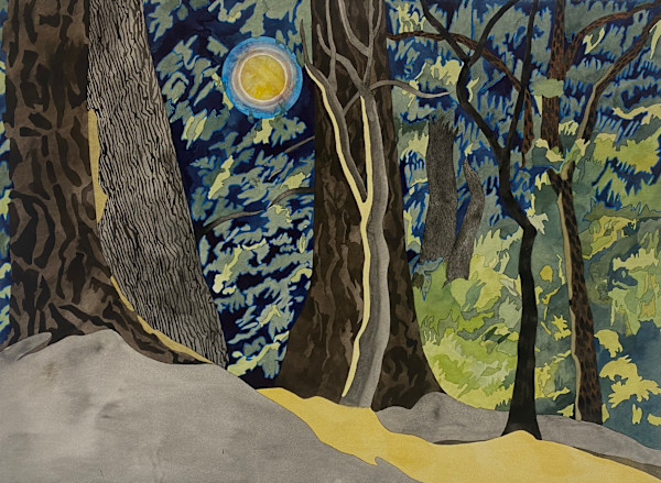 The Halo Moon by Meredith Nemirov