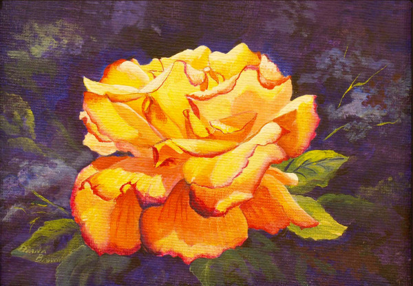Yellow Rose by Diana Schmidt