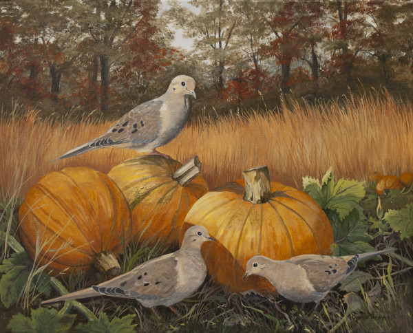 Doves in Pumpkin Field