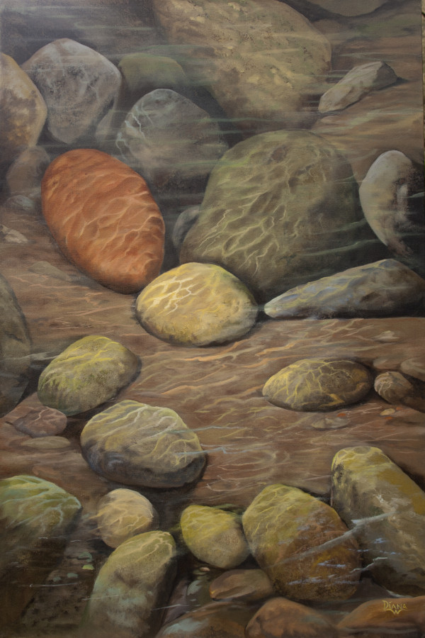 Molalla River Rocks by Diana Schmidt