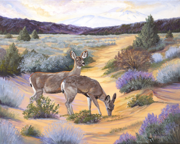 High Desert Mule Deer by Diana Schmidt
