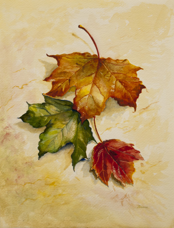 Three Leaves by Diana Schmidt
