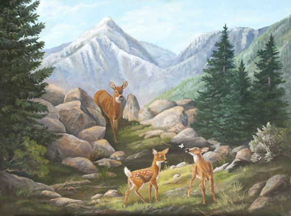 Fawn Discoveries by Diana Schmidt