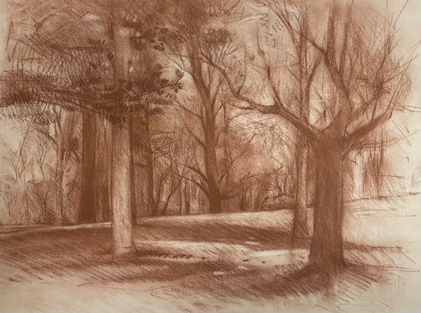 Campers Trees by Richard Terrell
