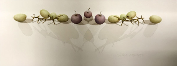 Grapes by Shelia Downey