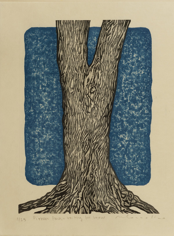 Pioneer Park - Waiting for snow by Mara Cozzolino, Image 2.