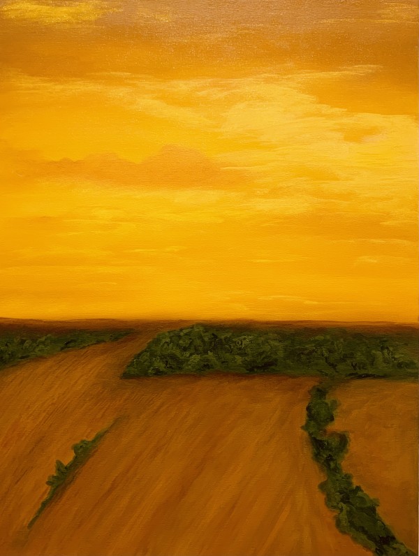 Bird View on Farmland at Early Evening by Alex Wilhite