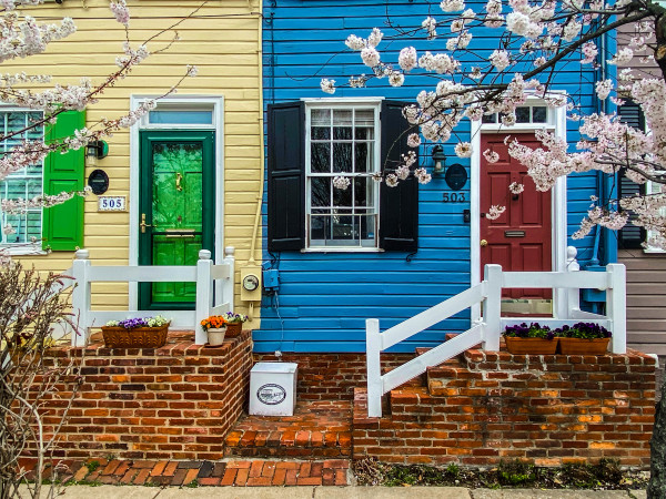 Row Houses with Cherry Trees - Old Town Alexandria, VA by Jenny Nordstrom