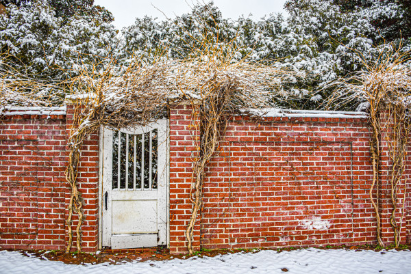 Snowy Gate - Old Town Alexandria, VA by Jenny Nordstrom