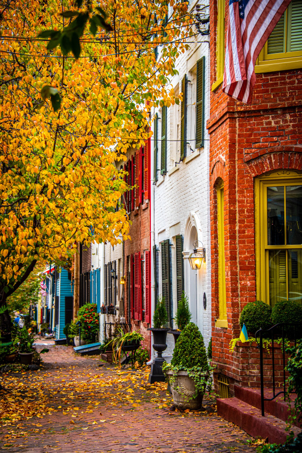 Autumnal Rowhouses - Old Town Alexandria, VA by Jenny Nordstrom