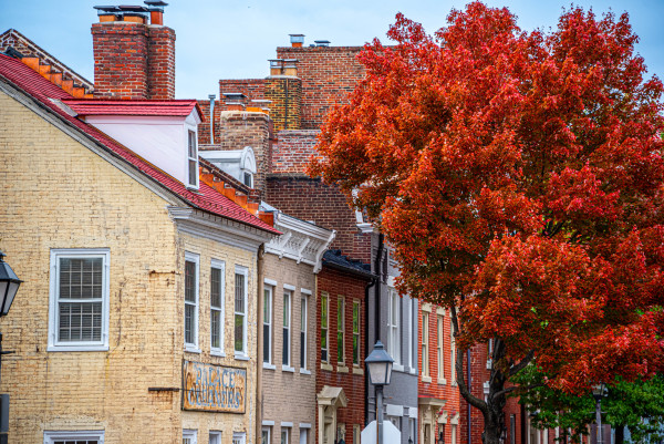 Autumnal Rooftops - Old Town Alexandria, VA by Jenny Nordstrom