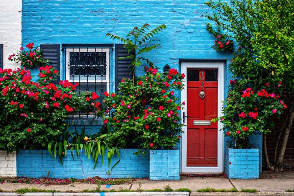 Rosy Blue Door - Old Town Alexandria, Virginia by Jenny Nordstrom