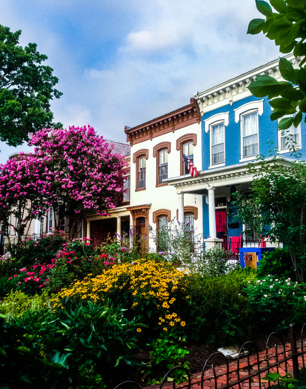 Festive Rowhouses - Capitol Hill by Jenny Nordstrom