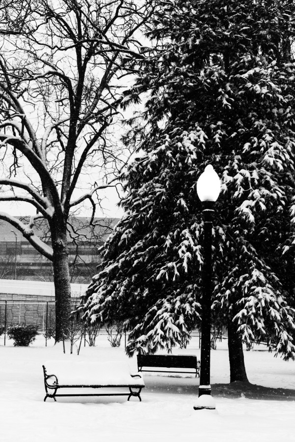 Capitol Hill - Winter Scene with Bench & Lamp 2 (Black & White Version)