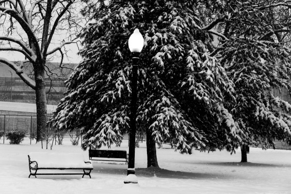 Capitol Hill - Winter Scene with Bench & Lamp (Black & White Version)