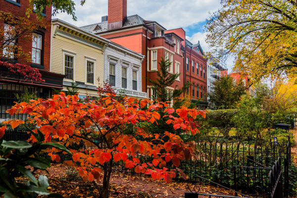 Autumn on the Hill - Washington DC by Jenny Nordstrom