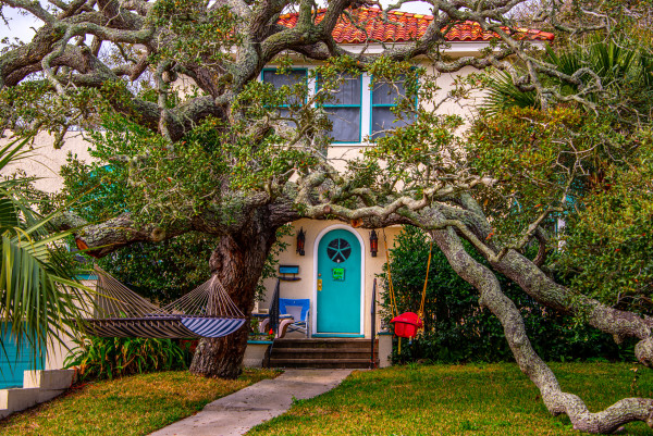 Amazing Tree + Door - Daytona Beach, Florida by Jenny Nordstrom