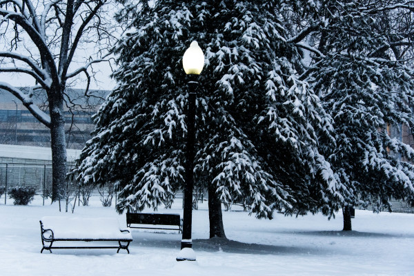 Capitol Hill - Winter Scene with Bench & Lamp