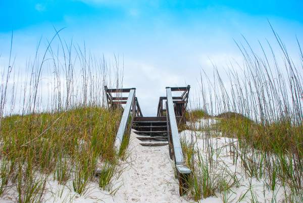 Climbing into the Sky - Florida (color version)