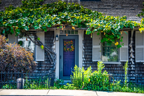 Ivy Door 2 - Plymouth, Massachusetts