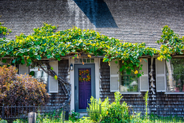 Ivy Door - Plymouth, Massachusetts