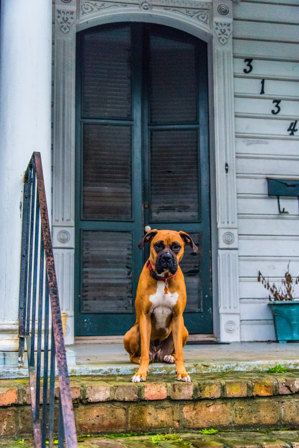 Mournful Hound + Door - New Orleans