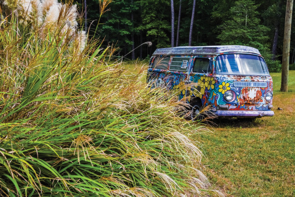Groovy Hippie Van - Eastern Shore, Maryland by Jenny Nordstrom