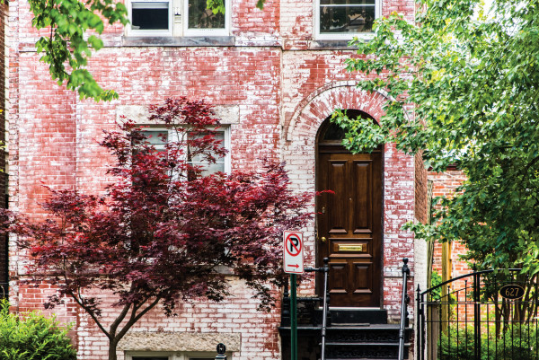 Door with Japanese Maple - Capitol Hill, Washington DC by Jenny Nordstrom