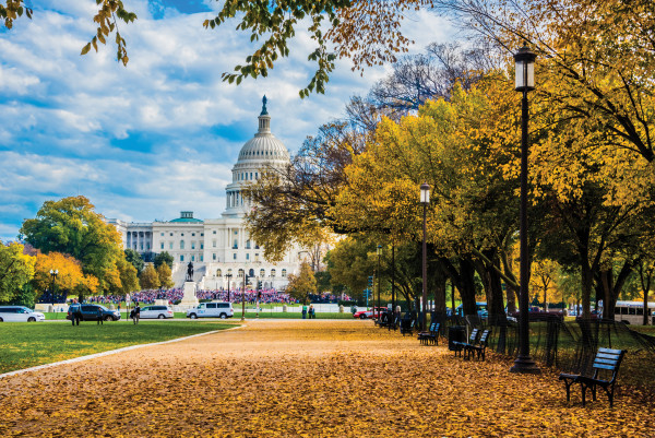 U.S. Capitol Building in Autumn by Jenny Nordstrom